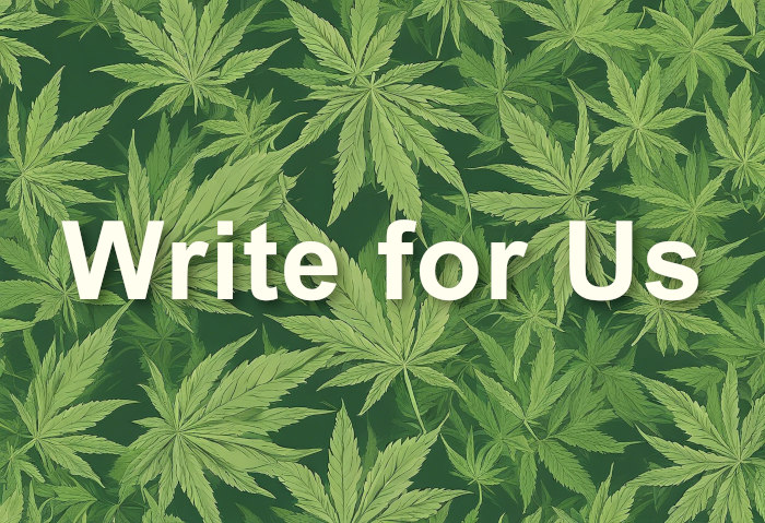 Write for Us - Contribute Guest Posts